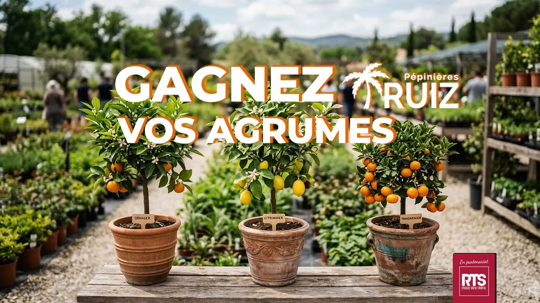 Gagnez vos agrumes avec les Pépinières Ruiz