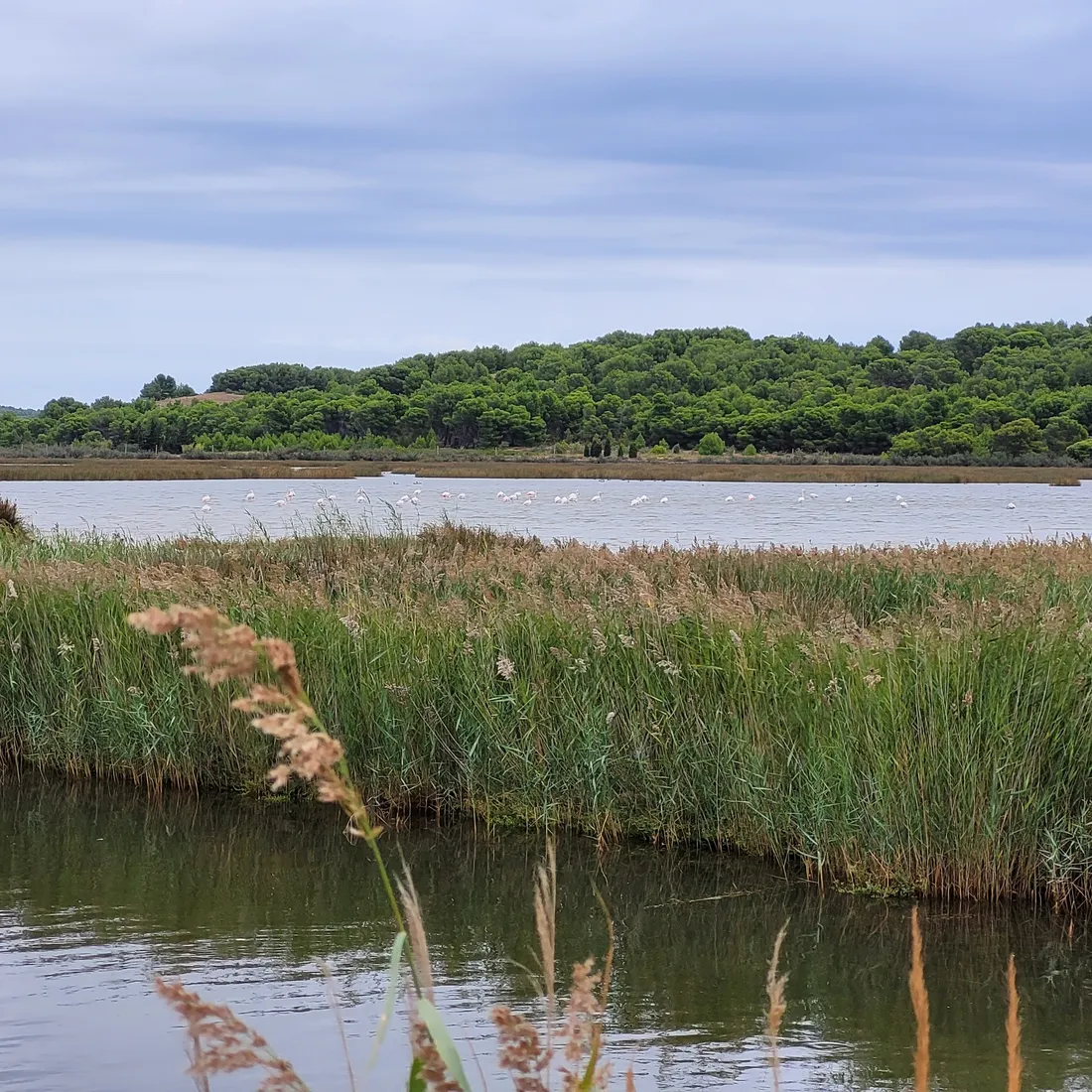 PNR narbonnaise en méditerannée