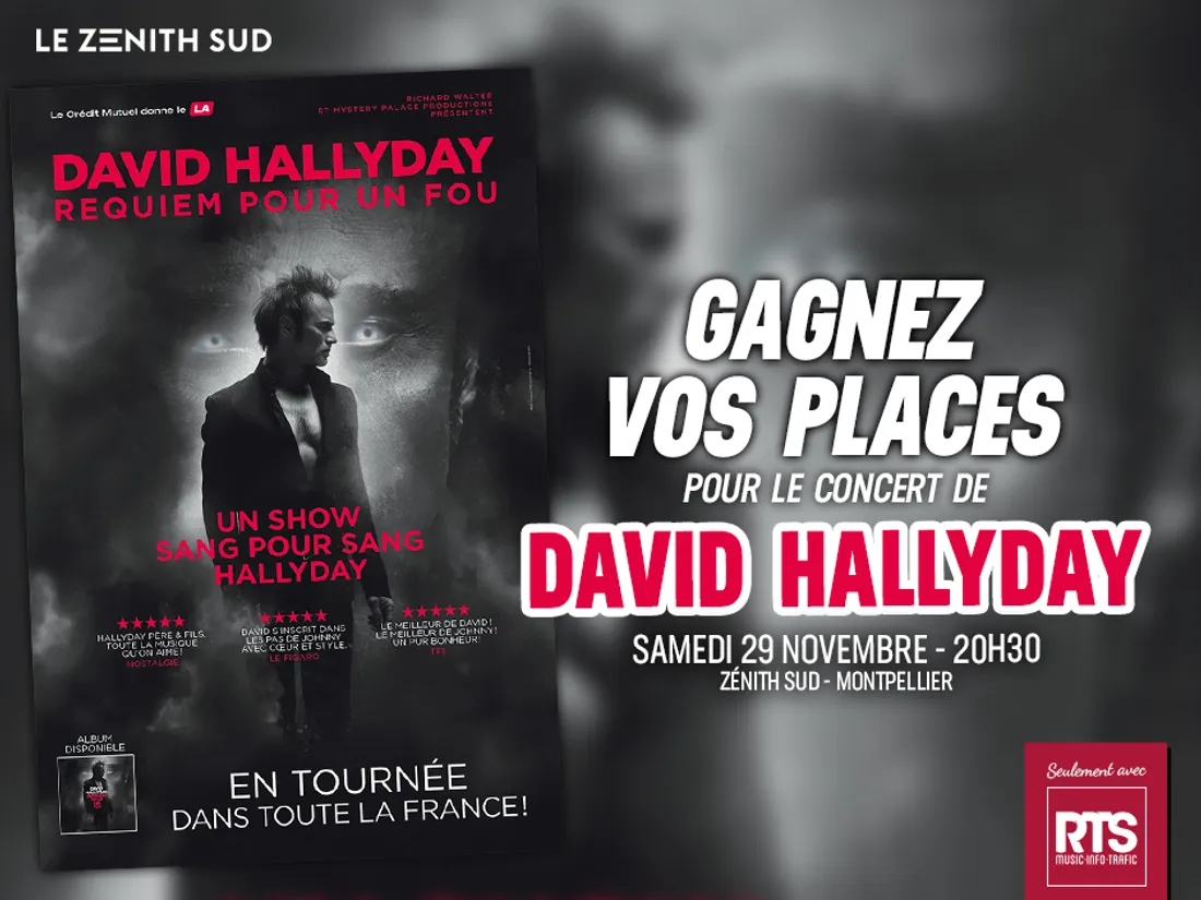 David Hallyday au Zénith Sud de Montpellier