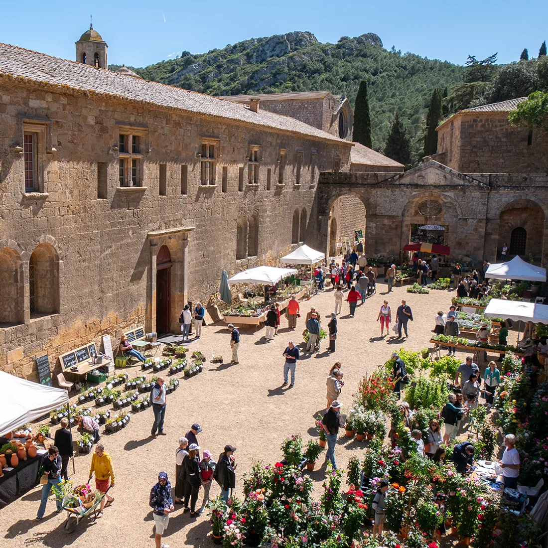 Idées sorties nature