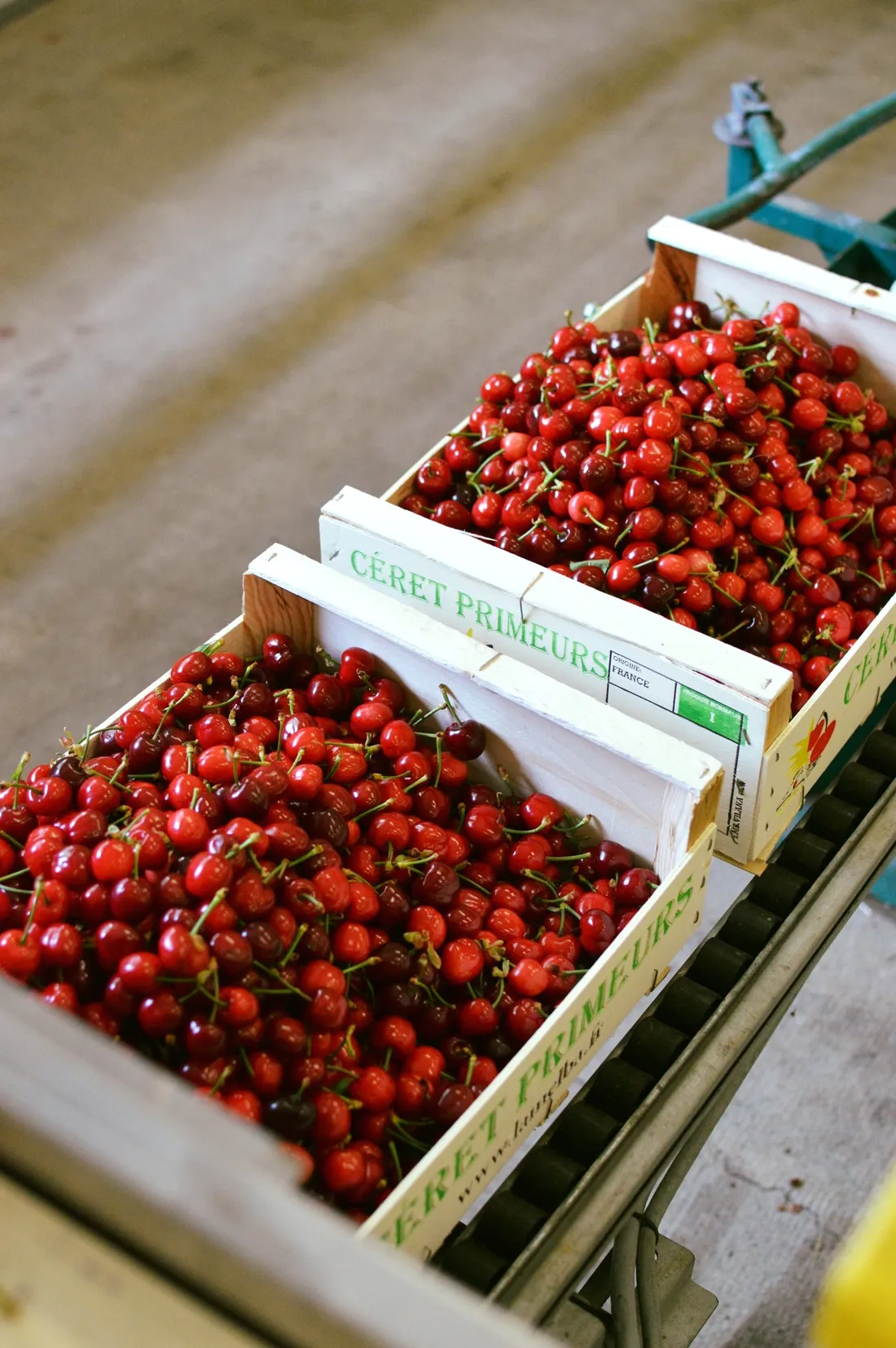 Cerises la Melba