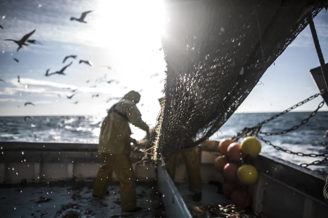 Belvédère de la Criée