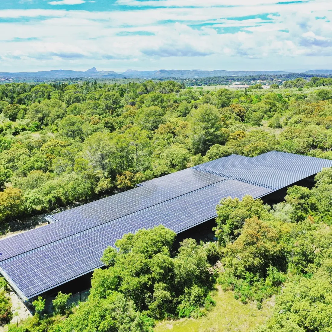 Domaine de Massereau