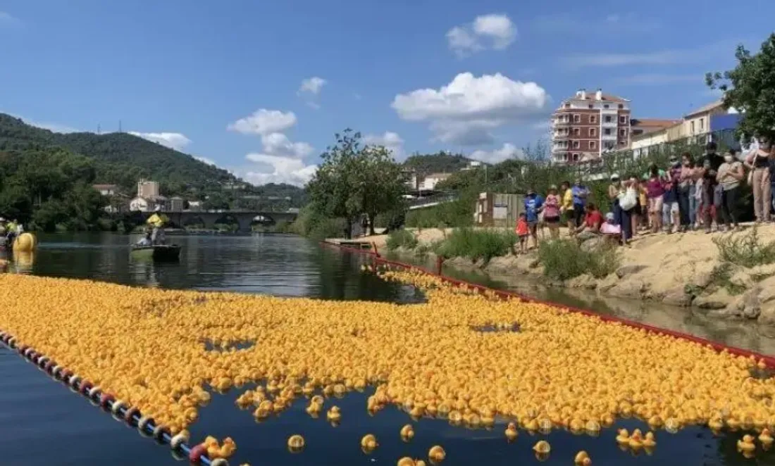 Duck Race