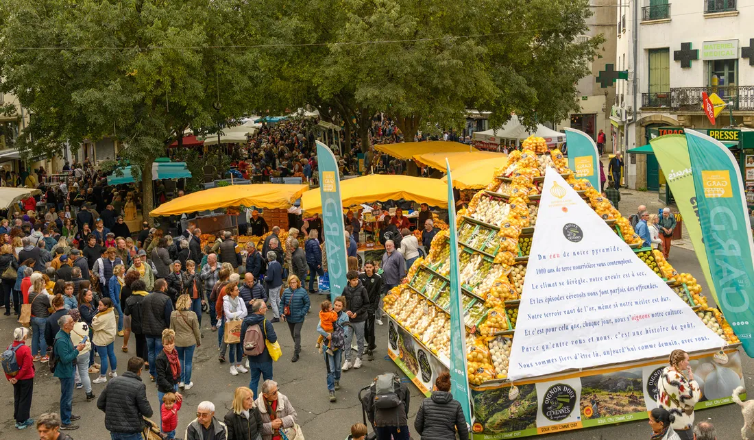 Foire pomme et oignons doux des Cévennes Le vigan 2026