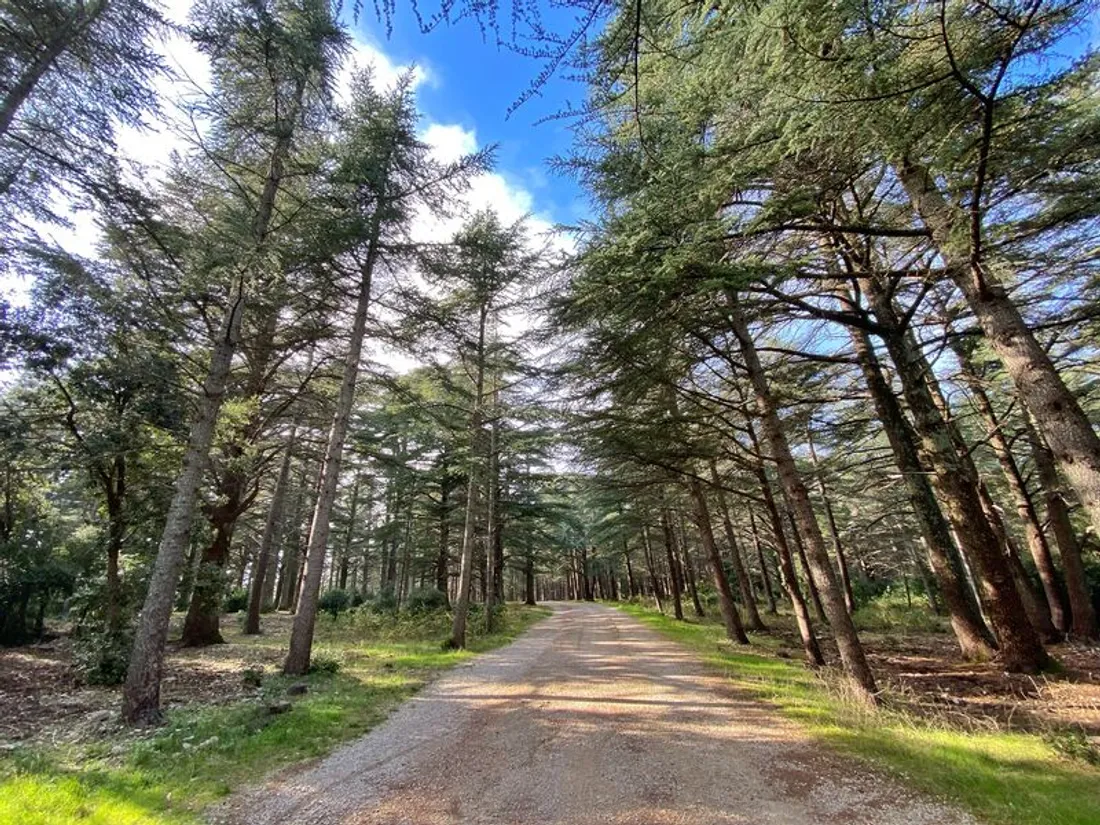 Rando automne Vaucluse