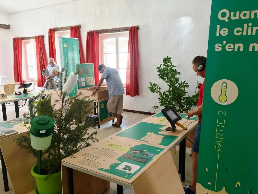 Exposition "les forêts"