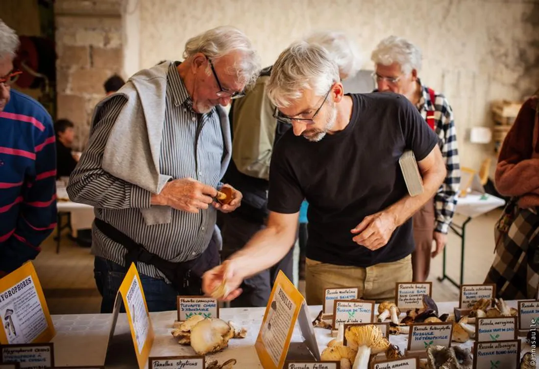 Les journées mycologiques du Vigan, 