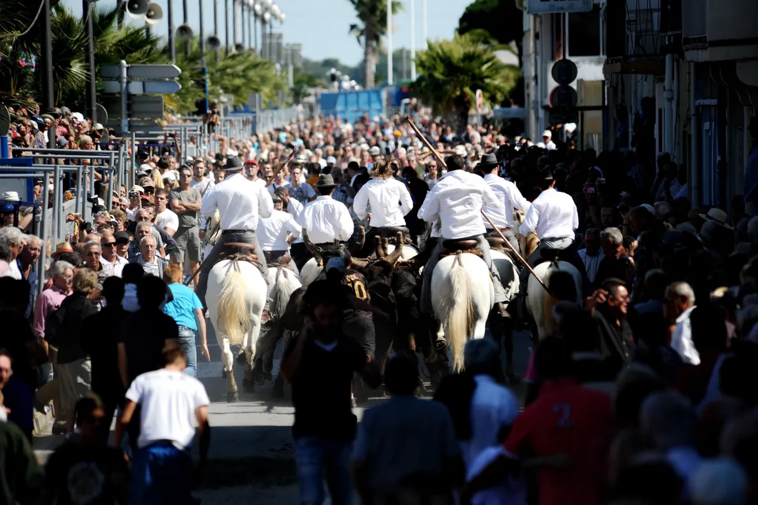 Fête votive du grau du roi