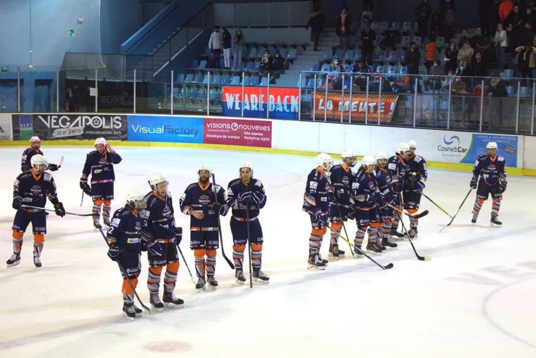 Montpellier Vipers