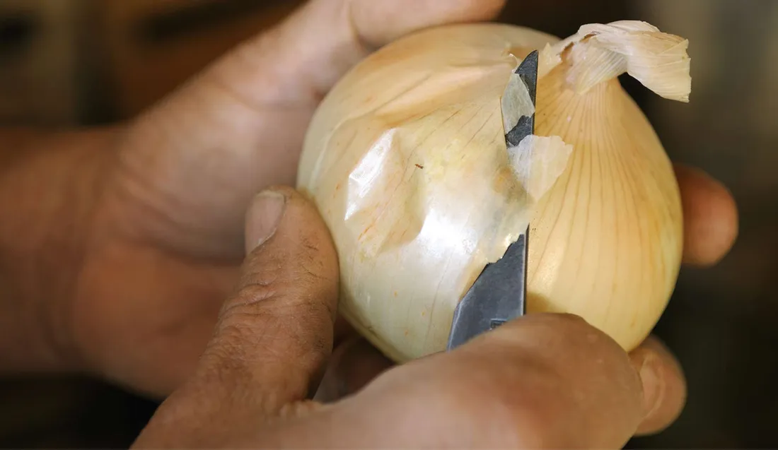 La 27e foire de l'oignon doux et de la pomme au Vigan dimanche