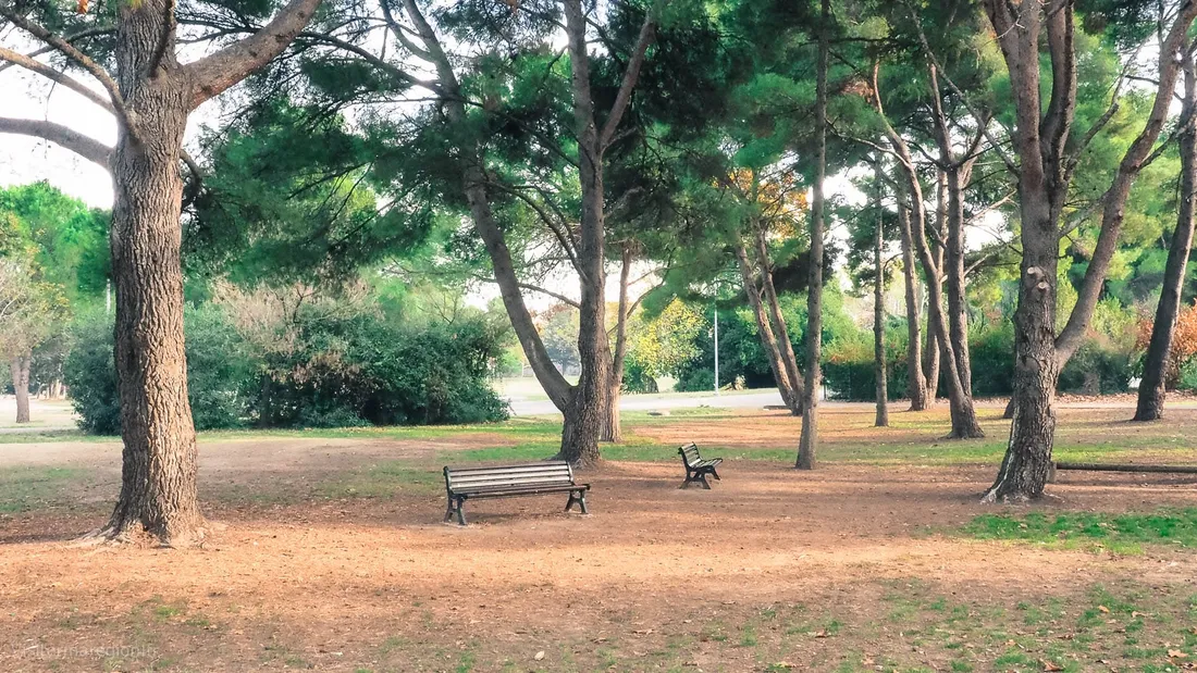 Le parc Montcalm à Montpellier