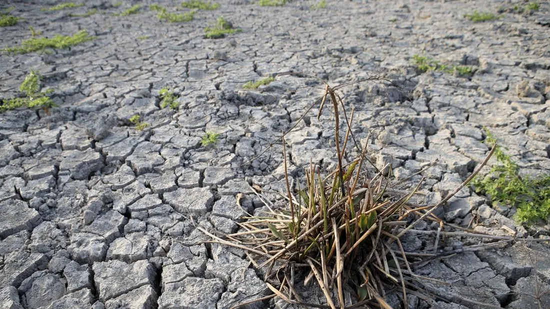 La sécheresse s'aggrave dans l'Aude et les Pyrénées-Orientales.
