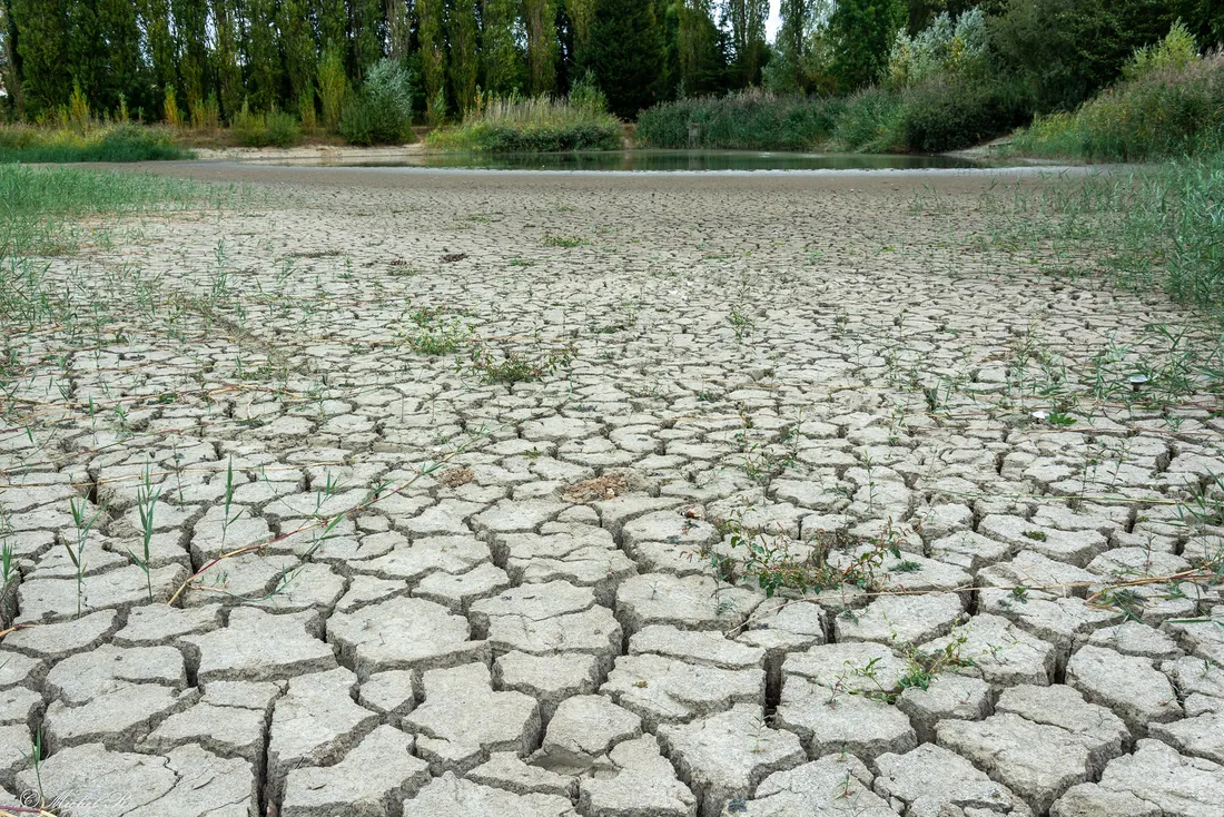 La sécheresse se fait ressentir dans le sud.