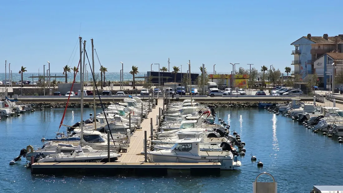 Puces nautiques