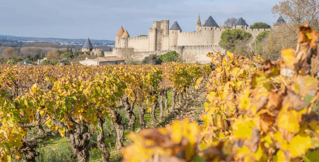 Vignobles et Découvertes