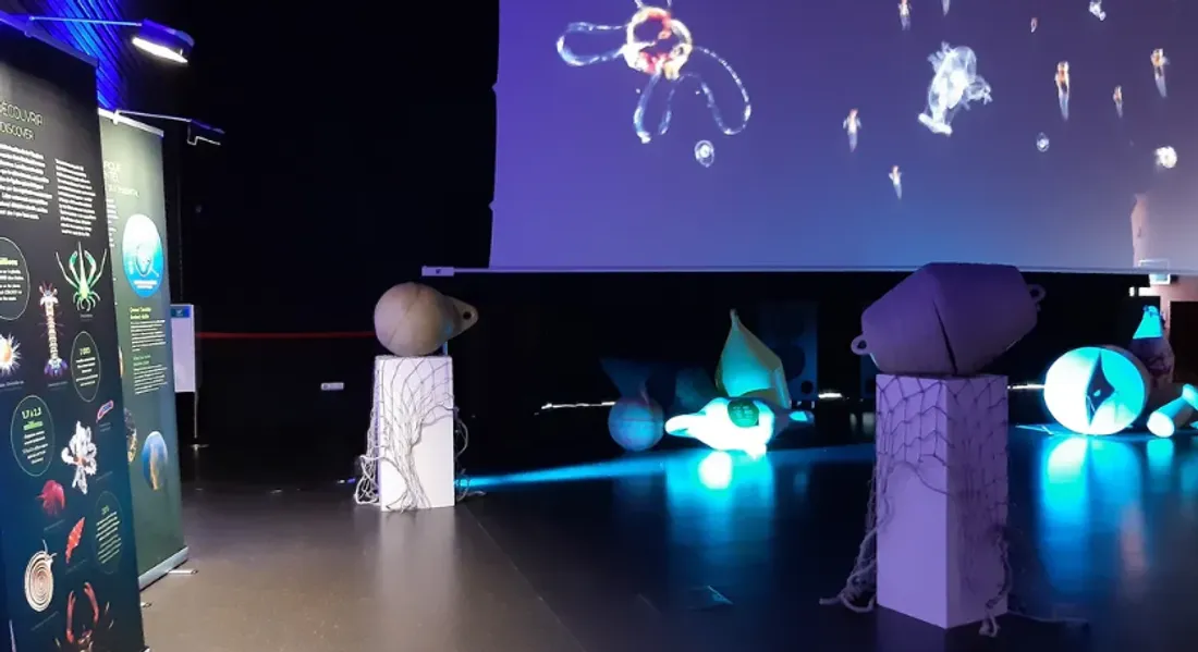 Océan, une plongée insolite