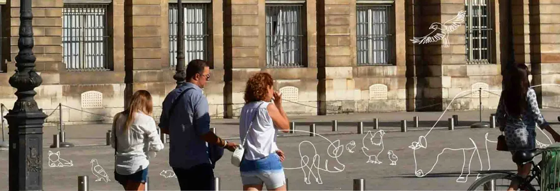 Lille est 5ème au classement