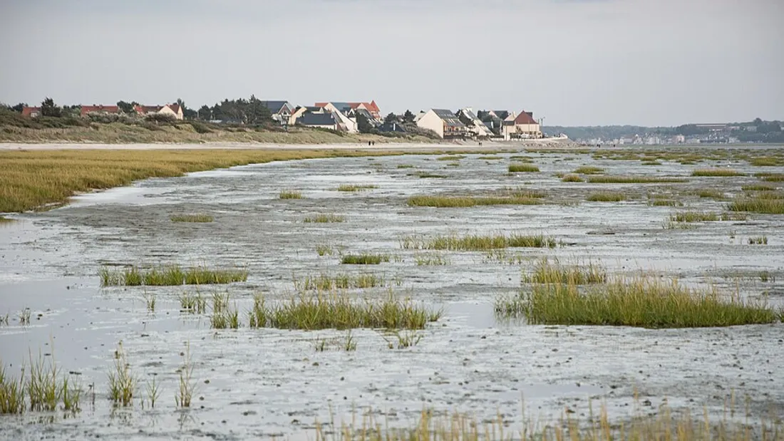 Une nouvelle distinction pour la Baie de Somme