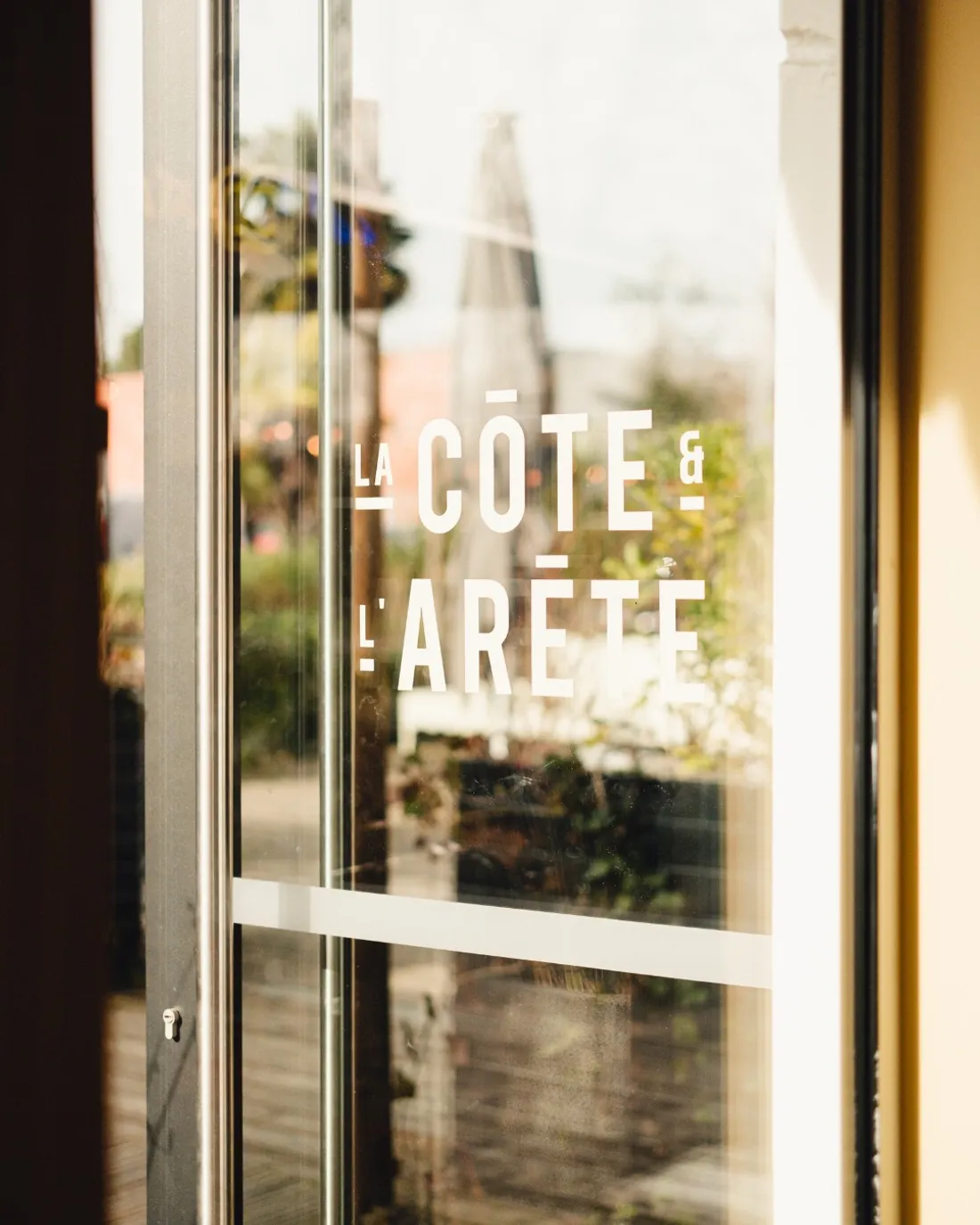 la côte et l'arrête