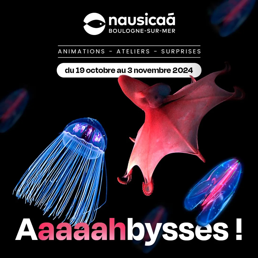 Les abysses à l'honneur à Nausicaa pour les vacances de la Toussaint