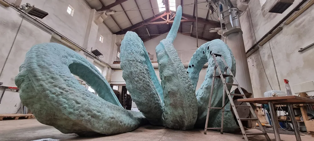 Un Nauti-pouple arrive à Amiens !