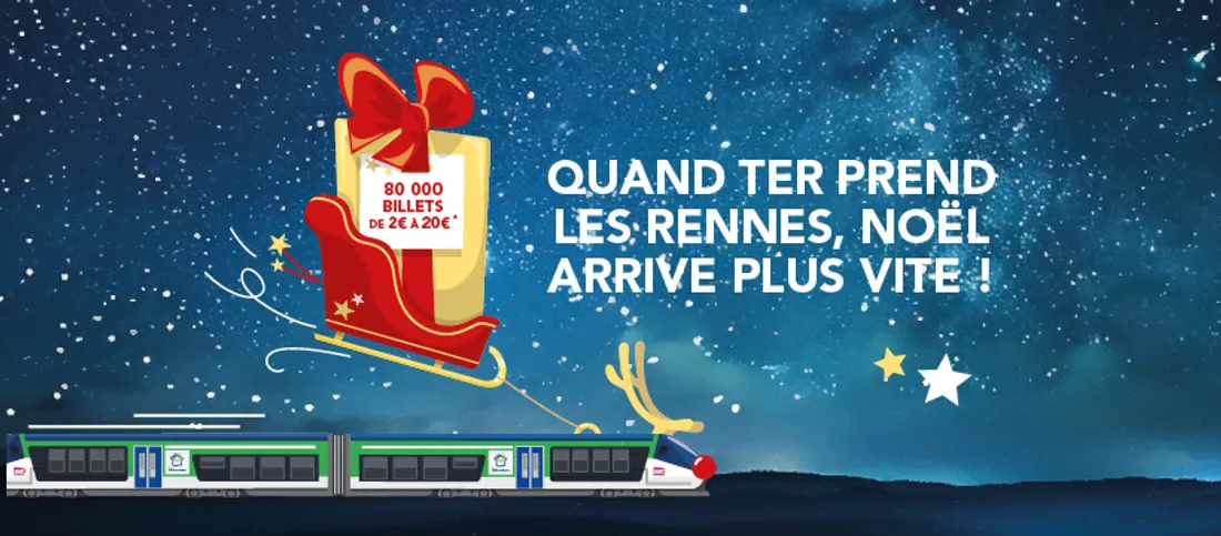 Des billets TER de 2 à 20 € pour les fêtes