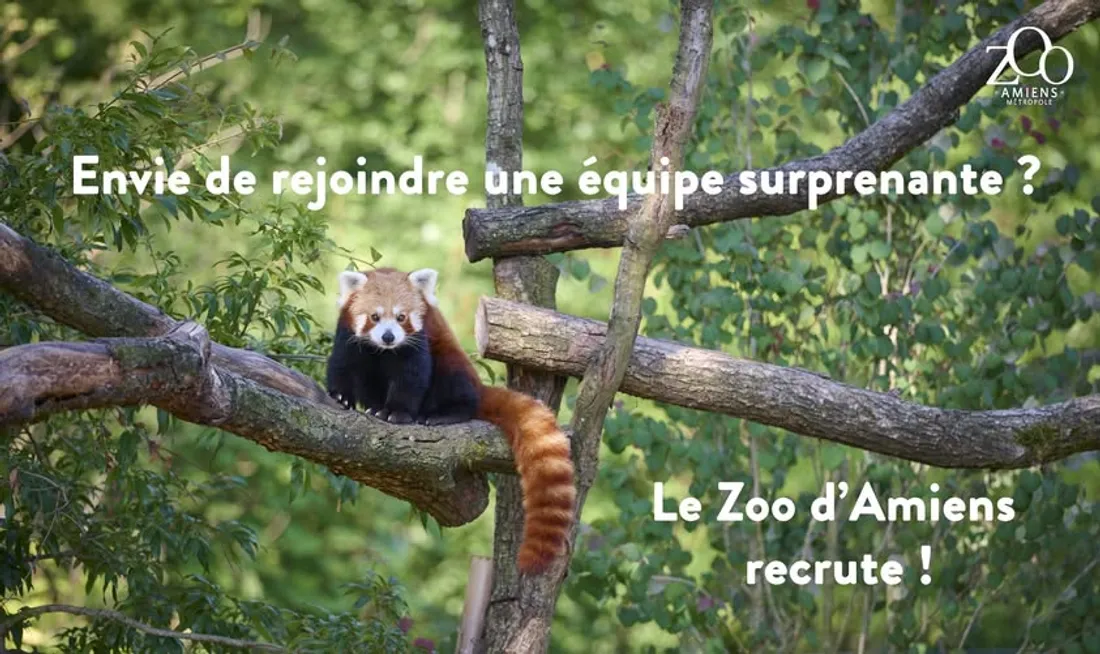 Le zoo recrute !