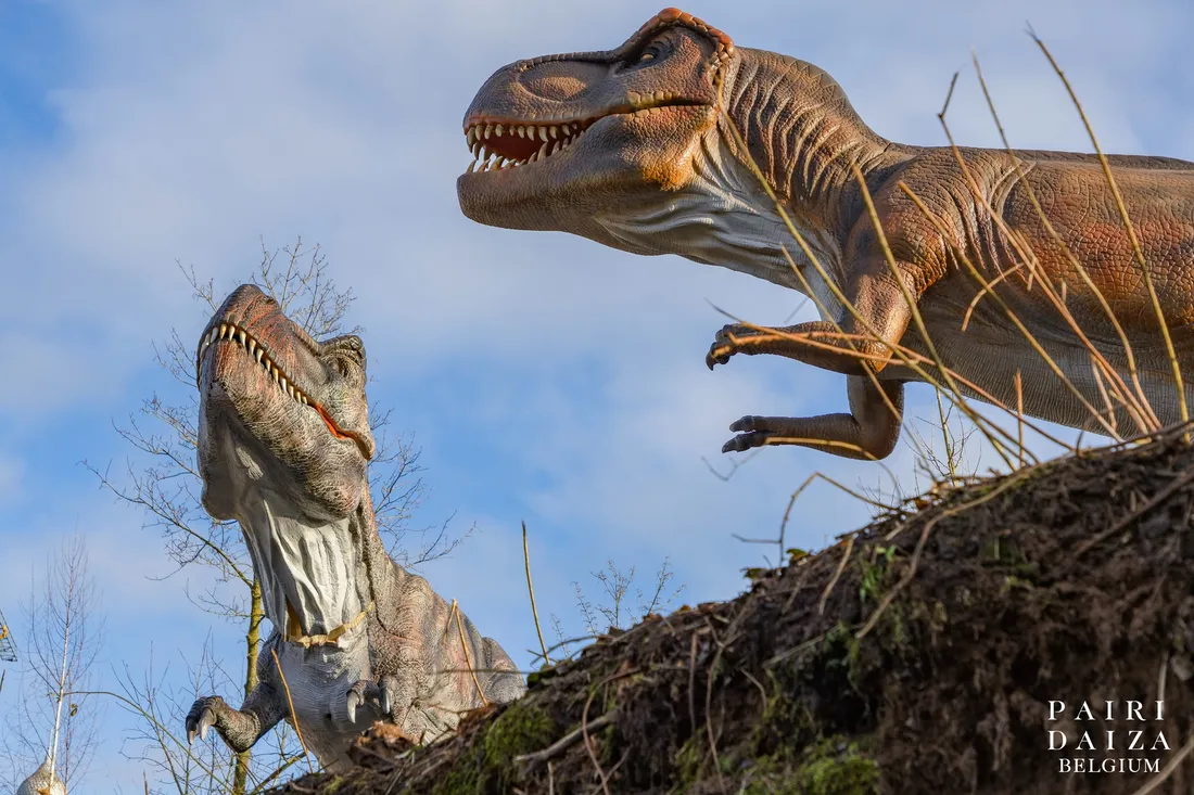 Un nouvel espace dédié aux dinosaures à Pairi Daiza