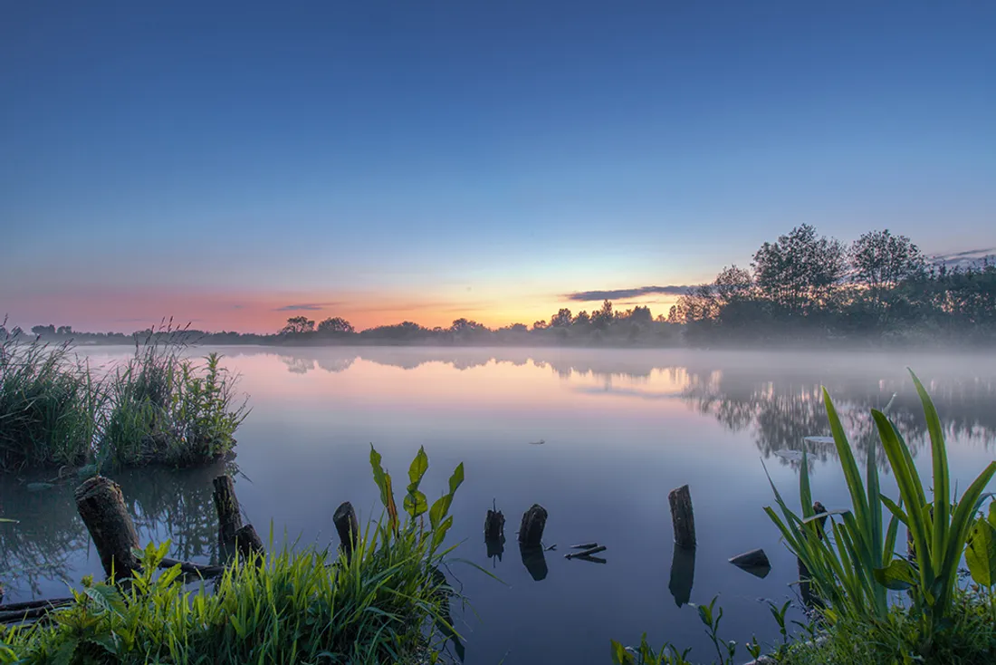 Des animations dans la réserve naturelle sont proposées