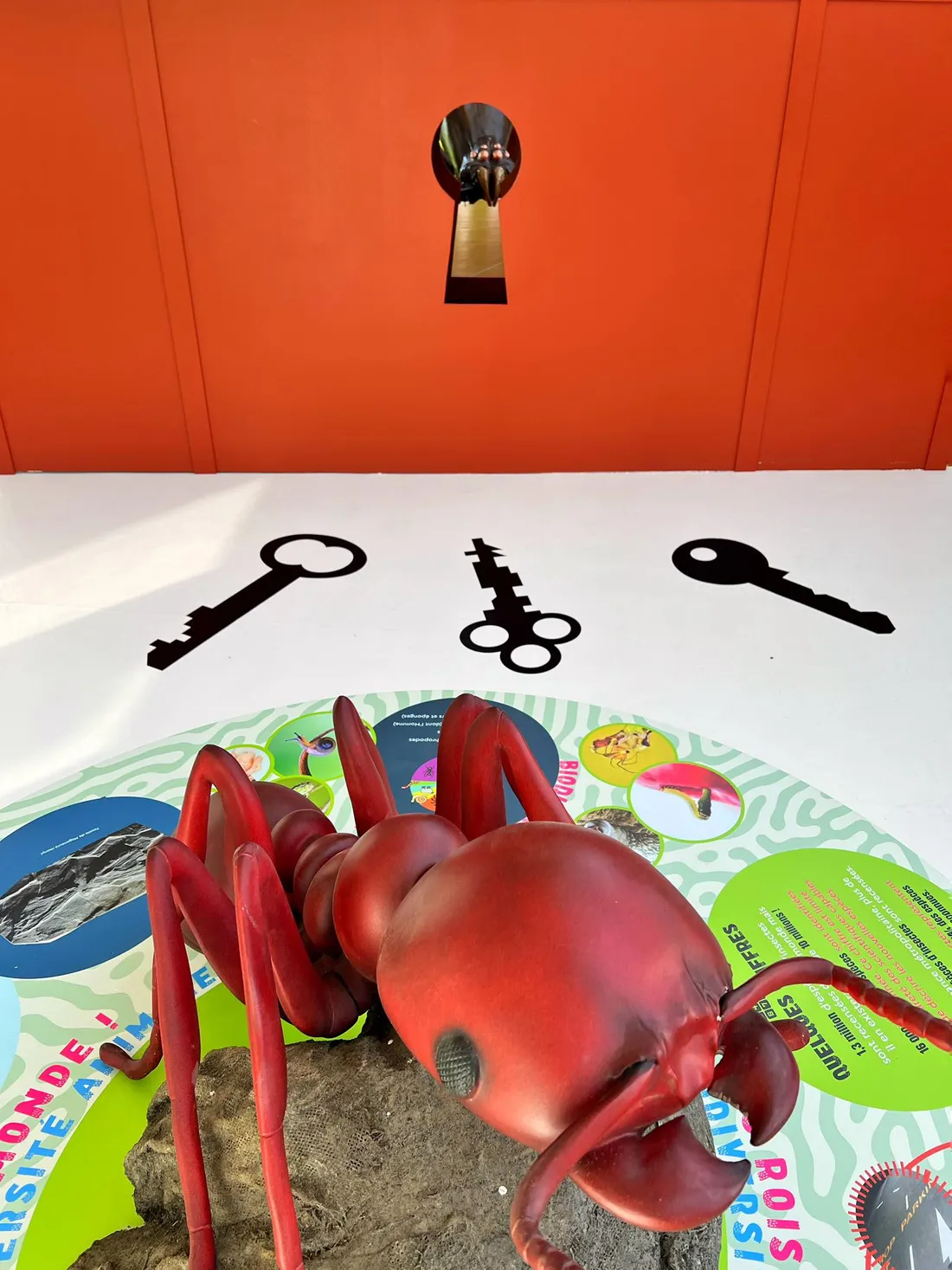 Les insectes à l'honneur à Cité Nature