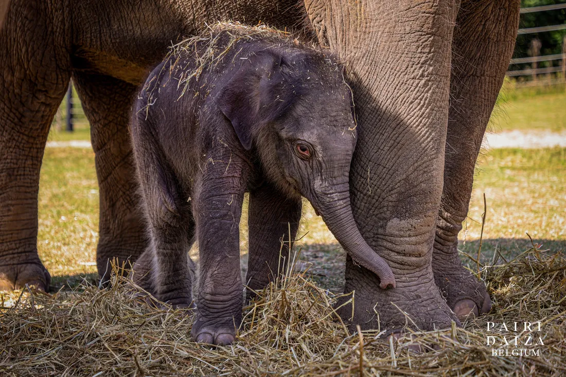 4 propositions sont soumises aux votes