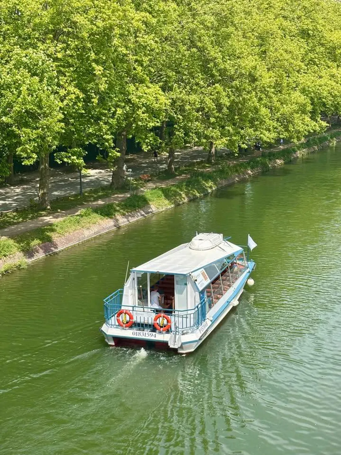 Le Mousaillon sur la Deûle