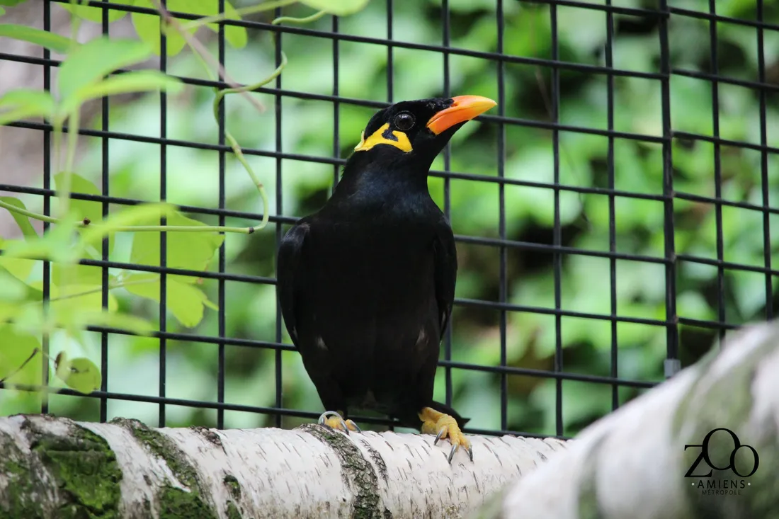 Le prix d'entrée est fixé à 1 € pour tous 