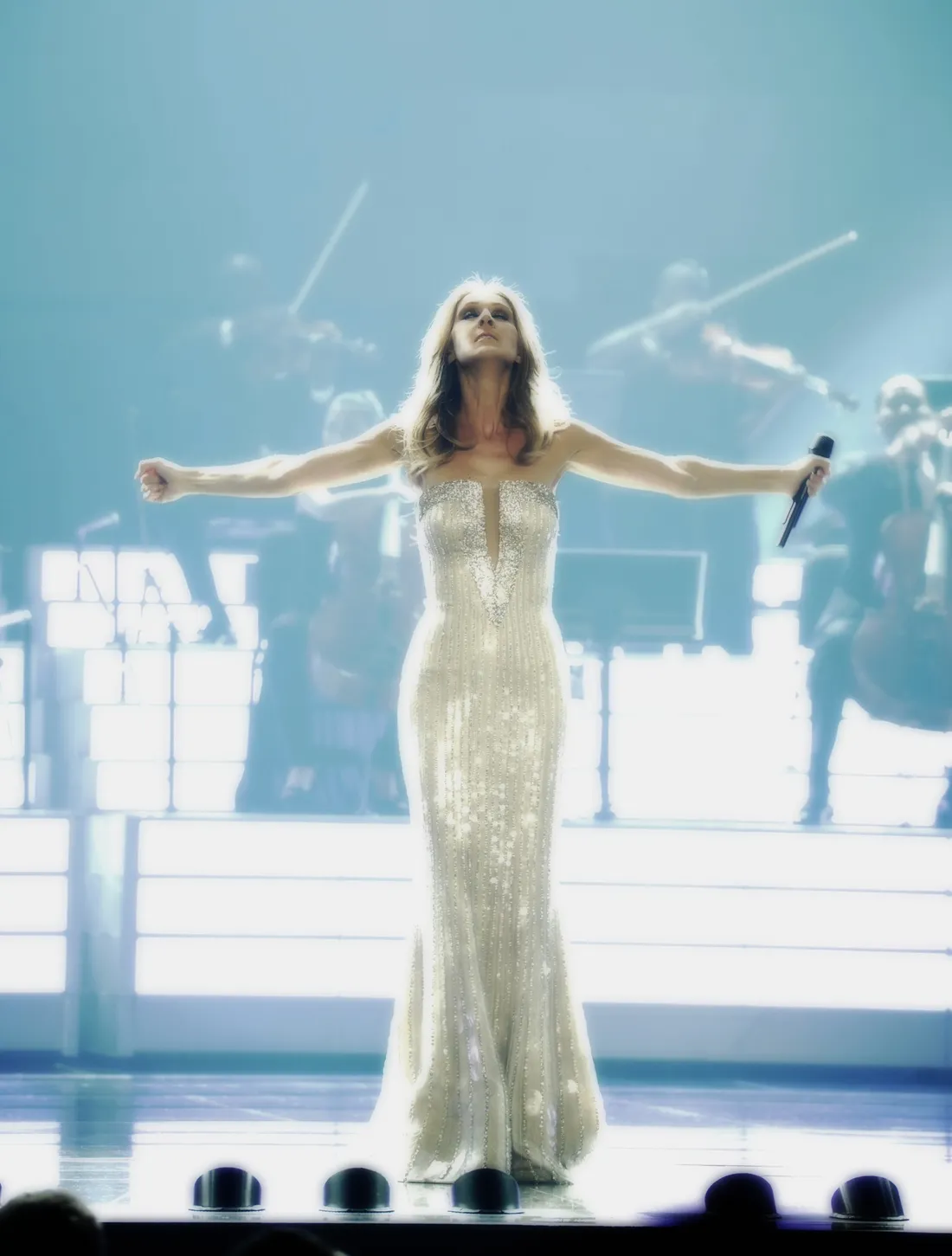 Céline Dion pourrait se produire à La Défense Aréna