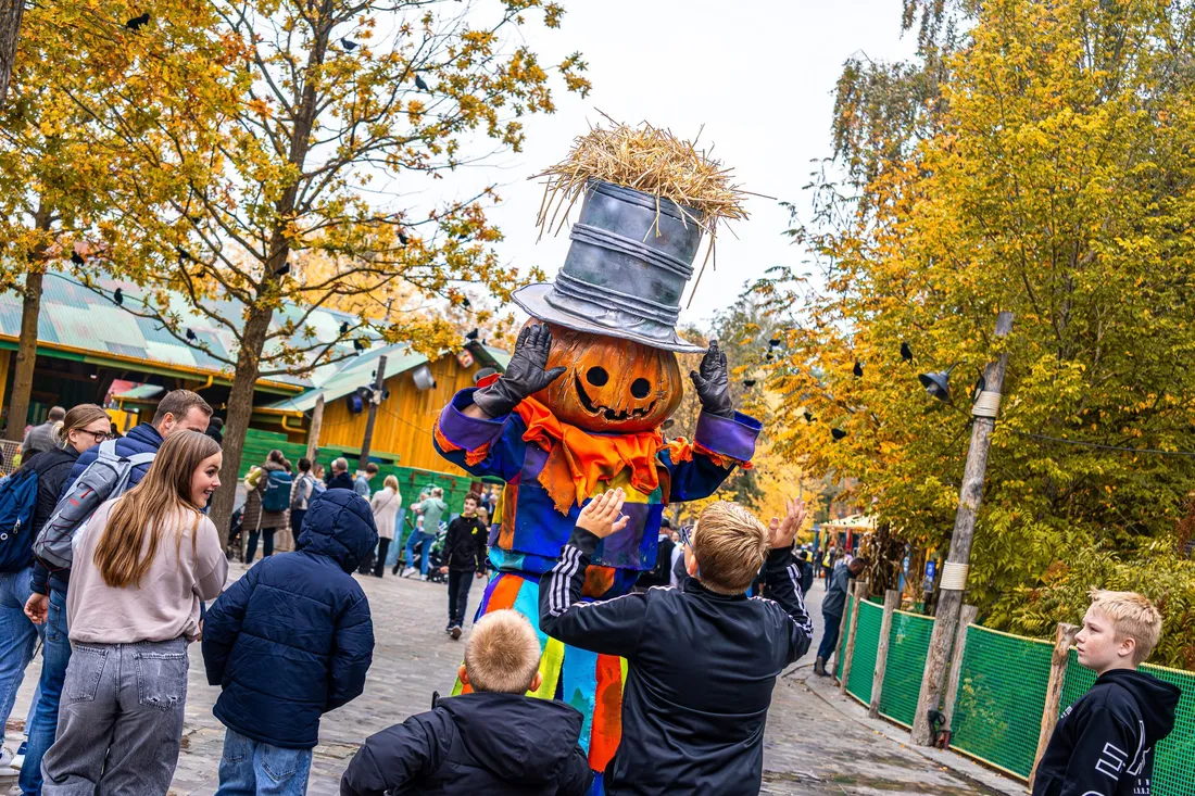Le parc est ouvert pendant les vacances de la Toussaint