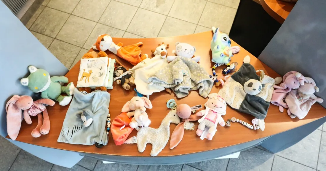 Ils sont tous regroupés auprès de la Police Municipale