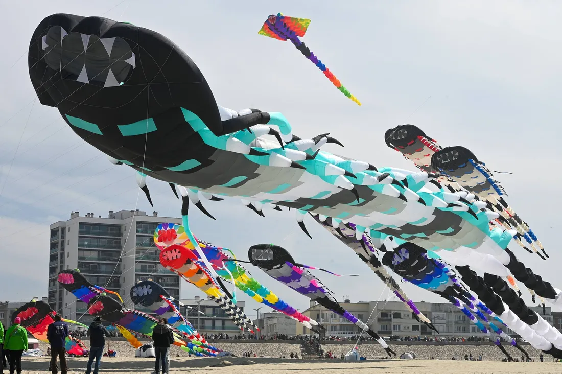 Le record du monde a bien été battu !