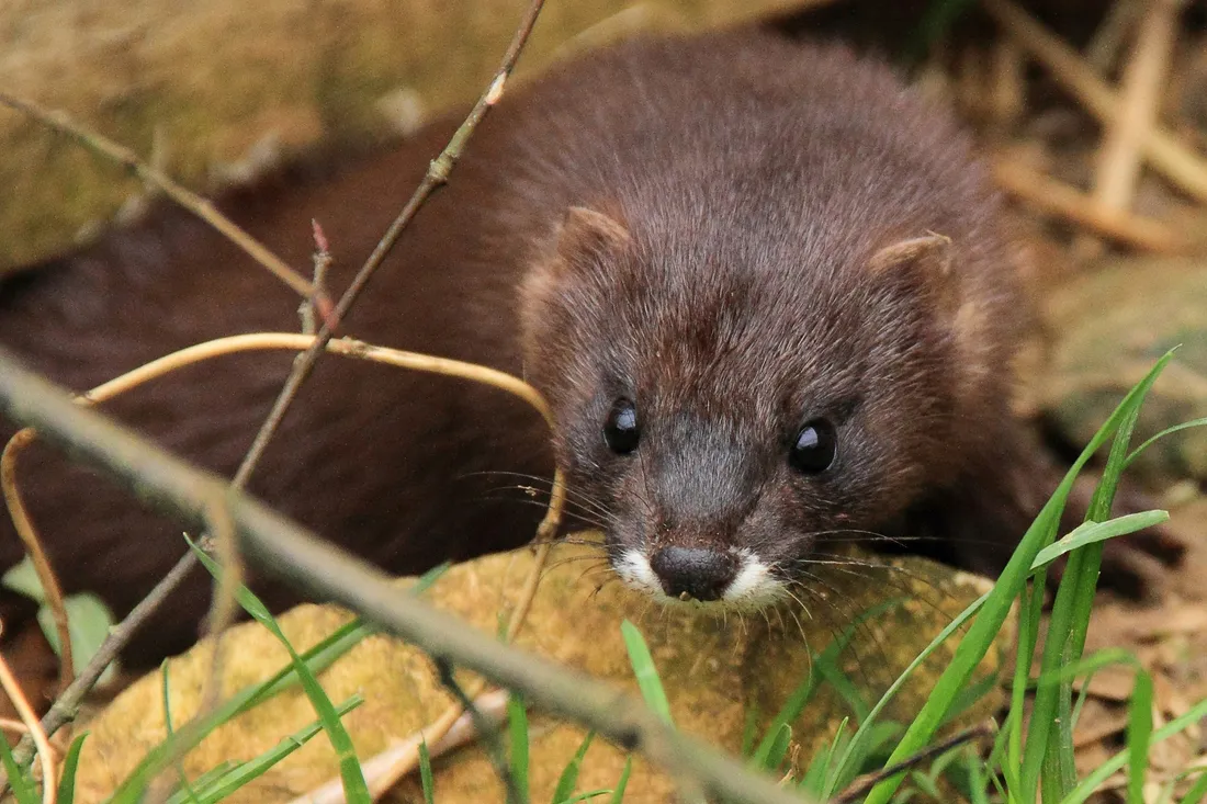 C'est le week-end de la conservation à Bio-Topia