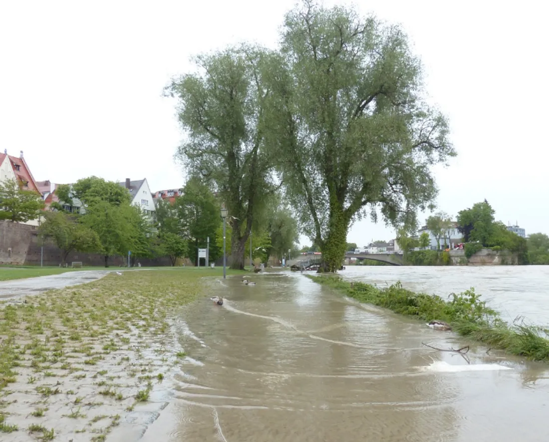 L'Etat fait évoluer sa subvention pour les TPE sinistrées des inondations