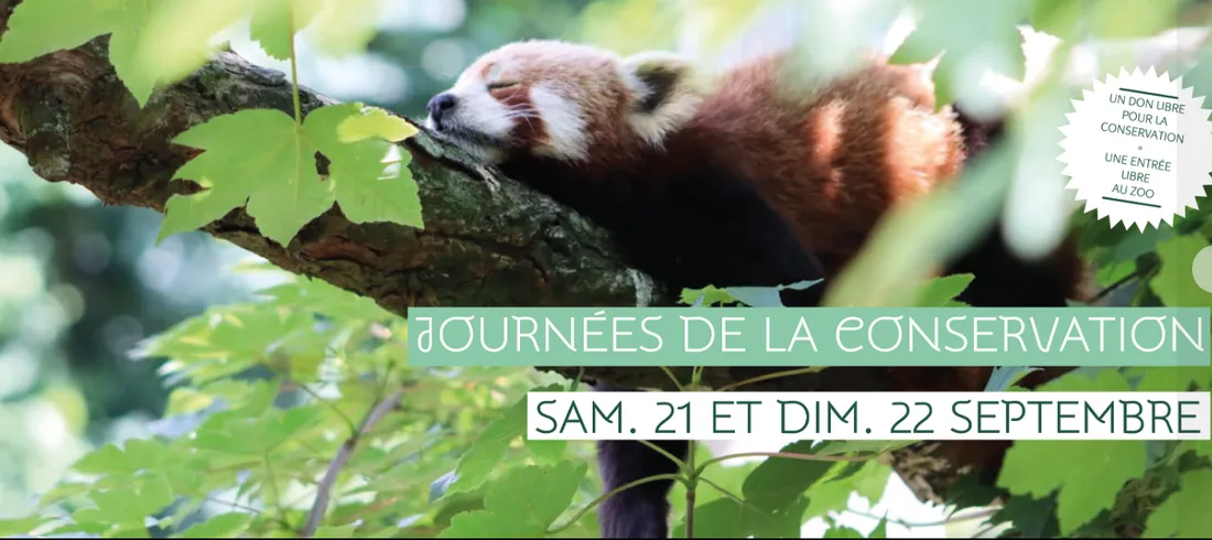 Les Journées de la conservation de retour au zoo de Lille