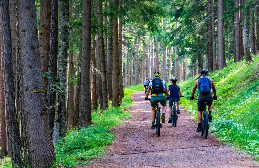 Plusieurs parcours de vélo ou marche sont proposés