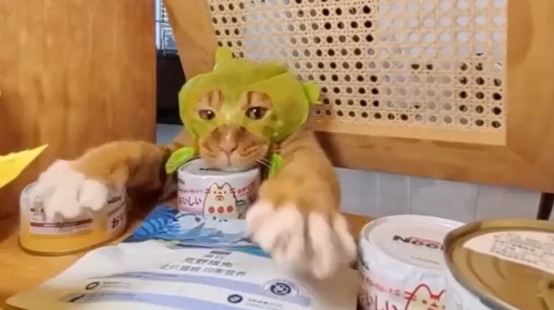 Rendez-vous le vendredi 26 septembre