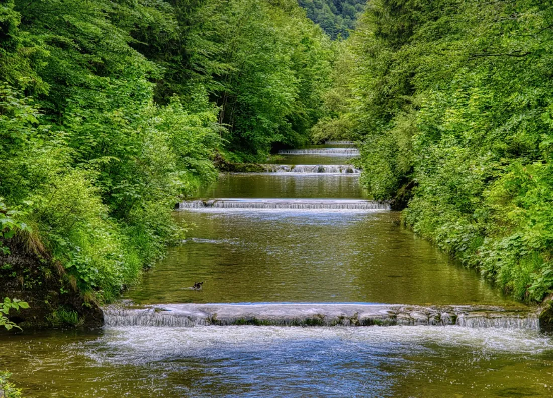 Des restrictions d'appliquent dans les communes des Flandres