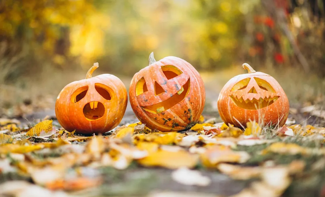 Des animations ce samedi 25 octobre