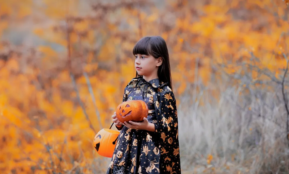 Des animations ont lieu dans les établissements culturels d'Arras