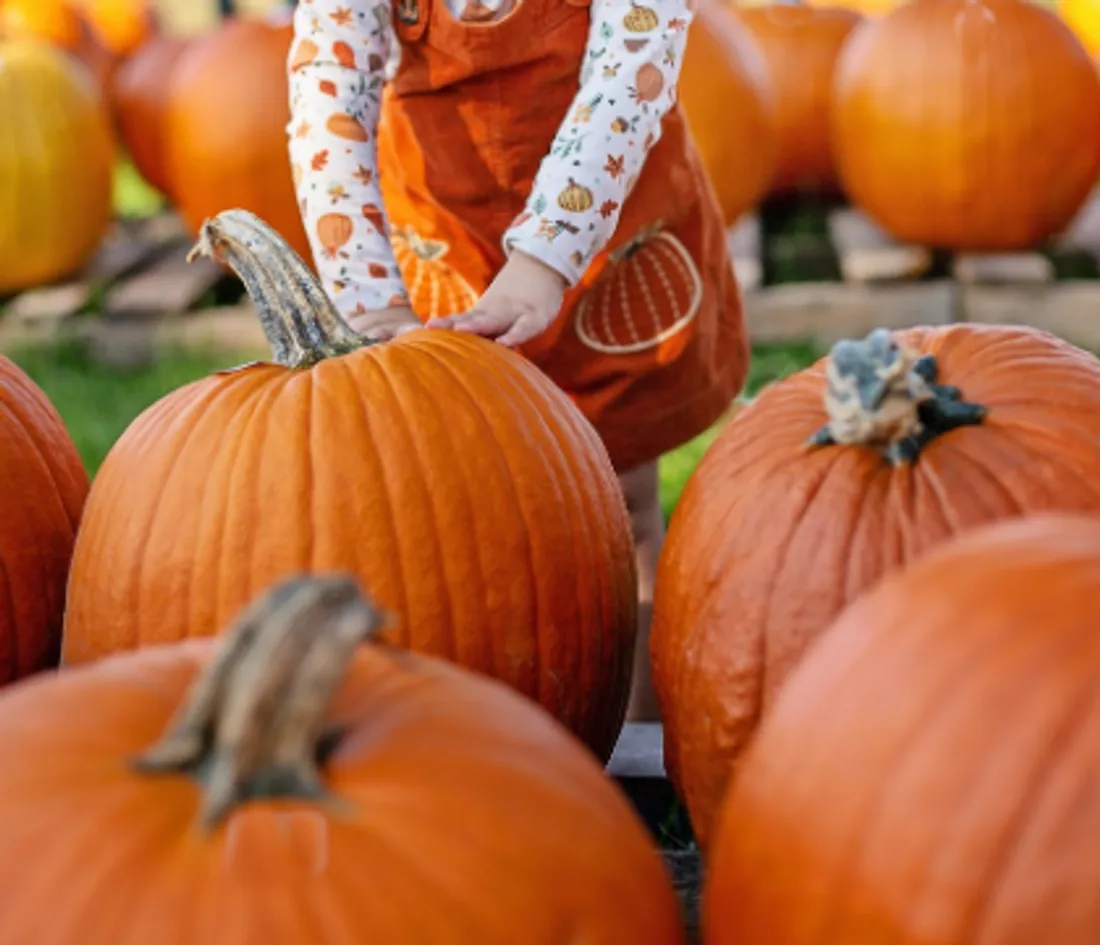 Les Foulées ont lieu le 1er novembre prochain