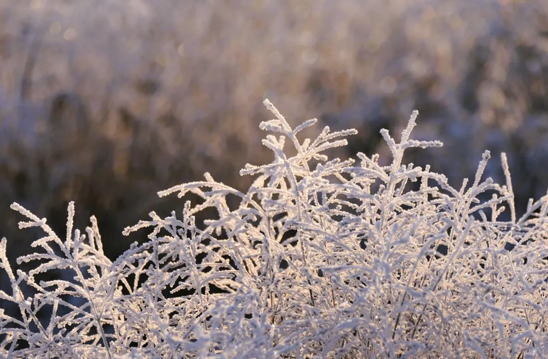 L'un des Noel les plus froids depuis 15 ans dans la région