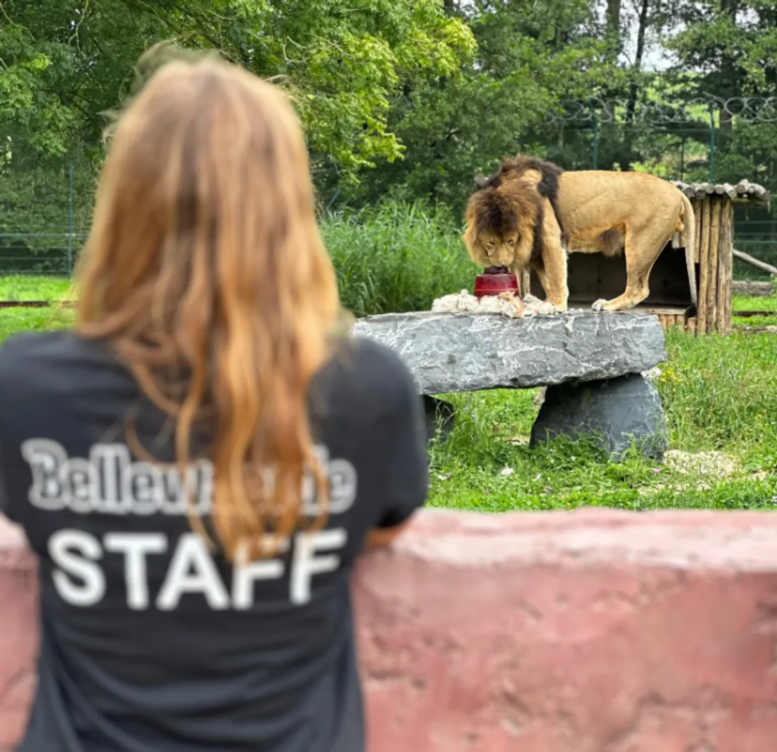 Deux journées de recrutement sont prévues