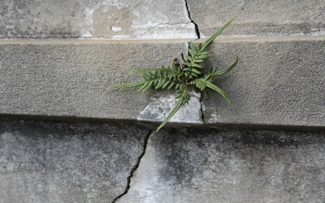 Les sinistrés ont 30 jours pour se rapprocher de leur assurance